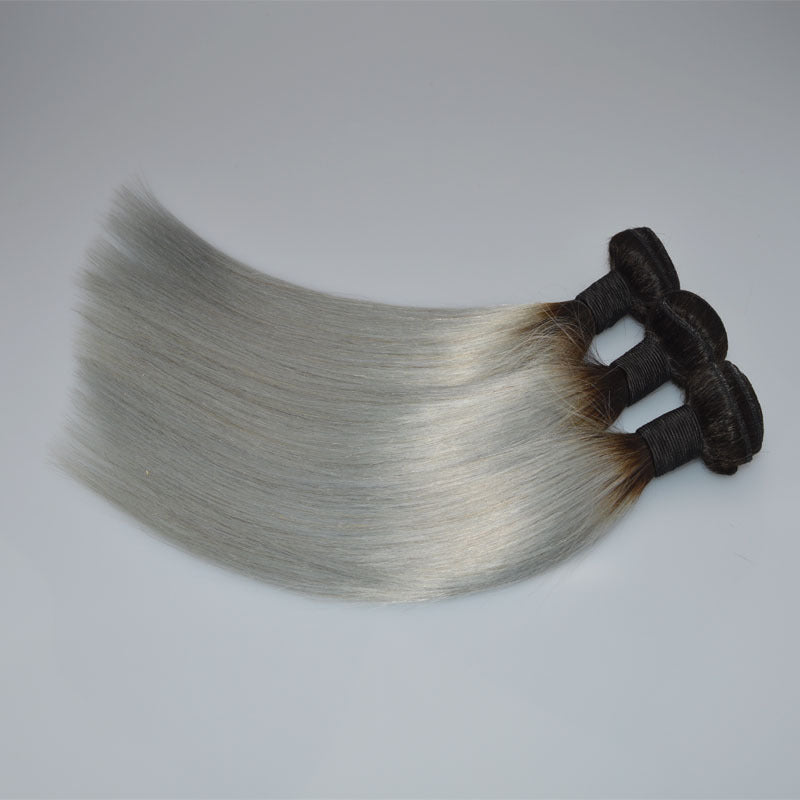 Straight Brazilian Human Hair Wig in Silver Grey Mimarta