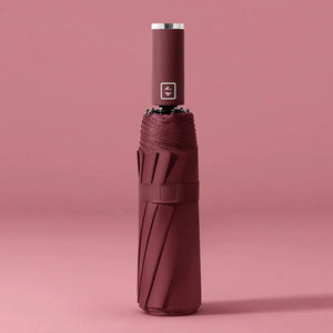 Auto - Open Umbrella - Rieworkes