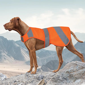 Orange Dog Vest High Visibility Safety Dog Hunting Vest Dog Jacket Soft Adjustable Reflective Dog Vest for Small Medium Large Dogs Mimarta