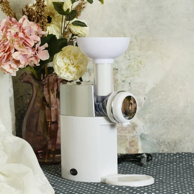 Fruit To Dessert Machine Rieworkes