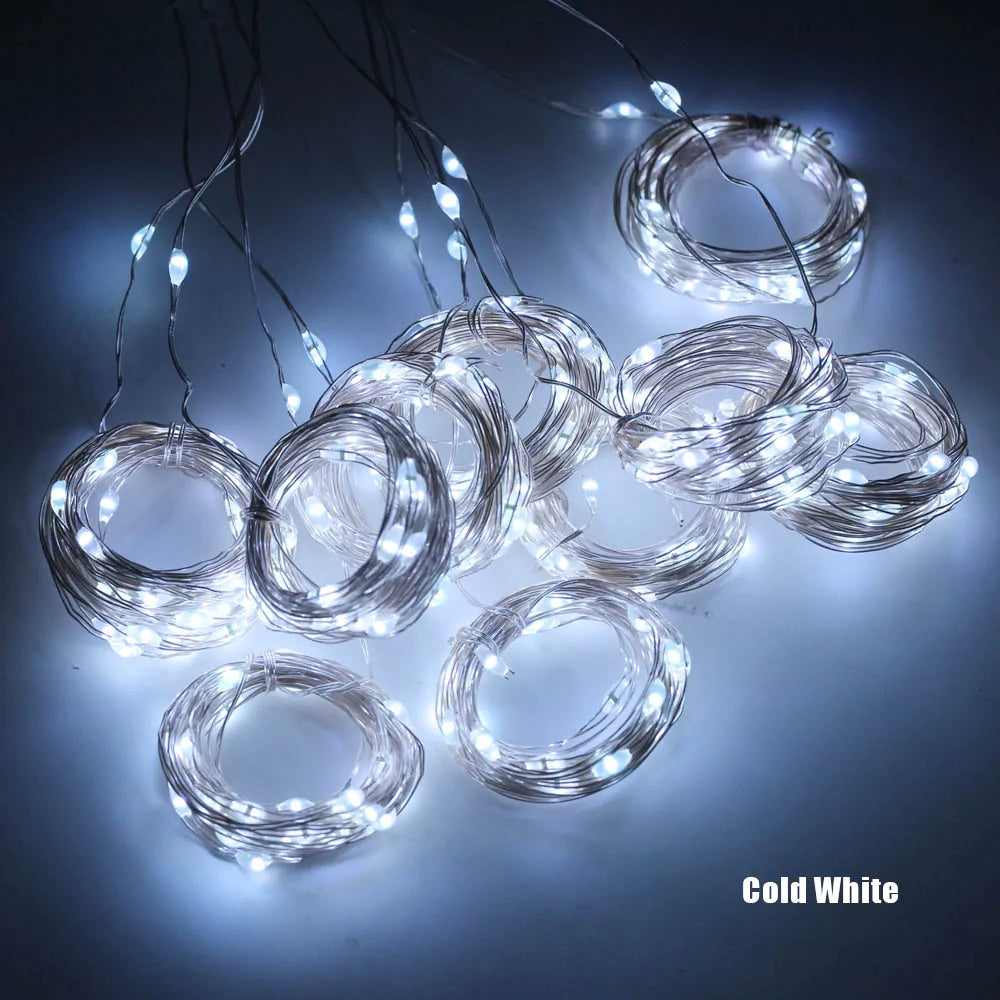 LED Curtain Garland Rieworkes