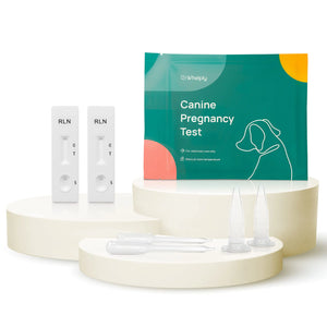Dog Pregnancy Test for Breeders - Accurate Results and Clear Instructions - Blood Test with Additional Requirements Check Product Details Before Purchase - at Home Canine Pregnancy Test Kit - 2-Pack Mimarta