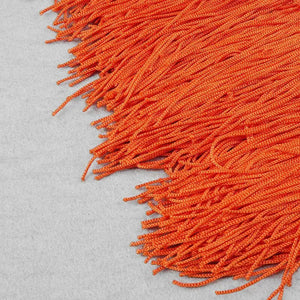 Fringe  Halterneck Backless Dress Rieworkes