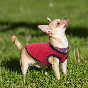 Dog Winter Jacket Rieworkes