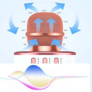 Karaoke Party Microphone With Bluetooth Rieworkes
