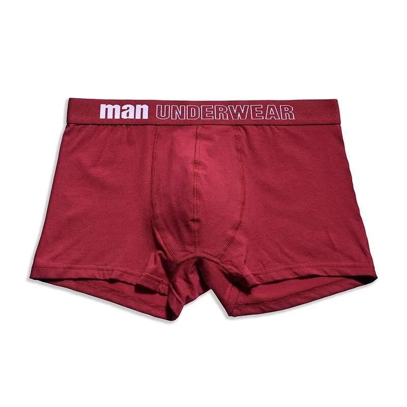 Men's Underwear Boxer Rieworkes