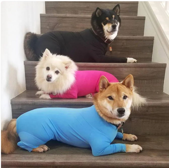 Pet Dog Jumpsuit Mimarta