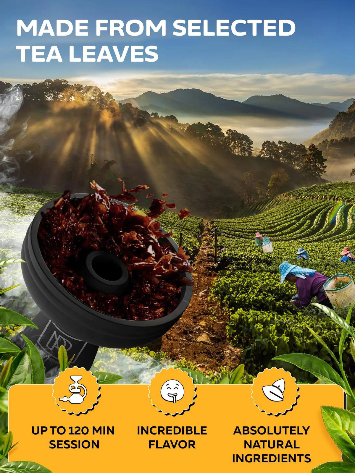 Shisha Hookah fruitage set Shisha Flavors 100 Gram Set fruitage Flavor Hookah Rieworkes