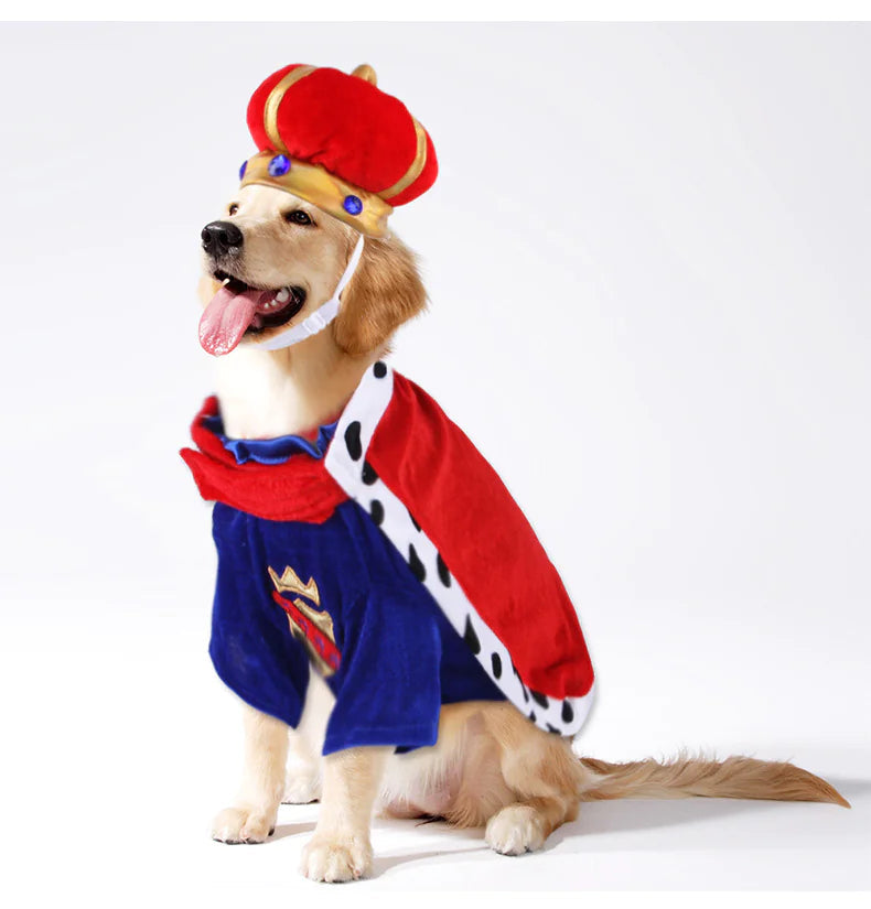 Pet King Cape Accessory Set for Dog Rieworkes