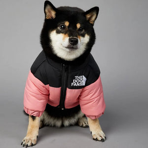 Luxury Winter Dog Jacket Rieworkes