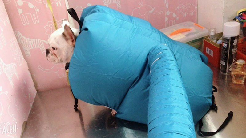 Pet Drying Box, Dryer, and Drying Bag Mimarta