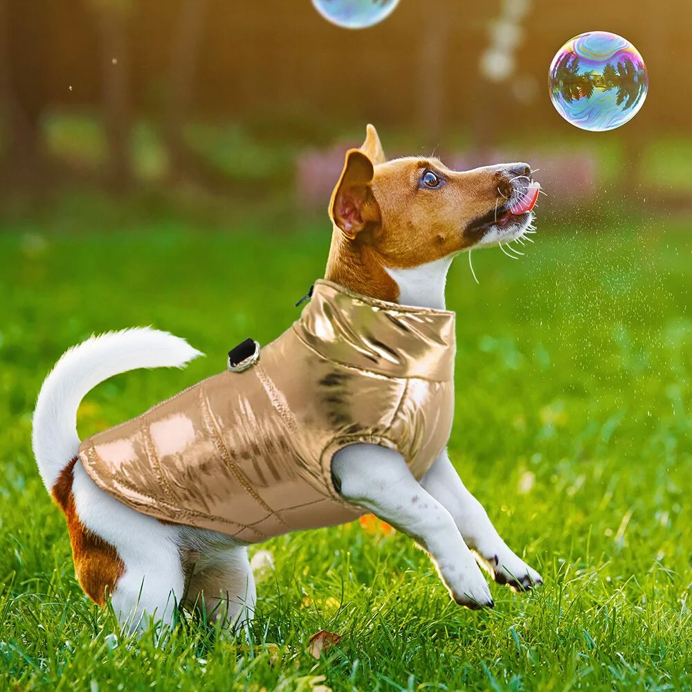 Waterproof Winter Dog Jacket Rieworkes