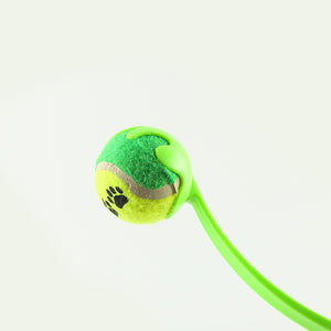 Outdoor Pet Throwing Cue Dog Training Toy Mimarta