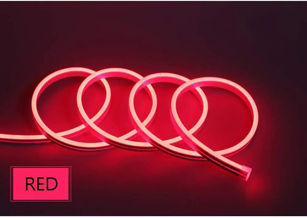 1M 2M 3M 5M 12V Flexible Sign Neon Lights Silicone Tube LED Strip Waterproof USA Rieworkes