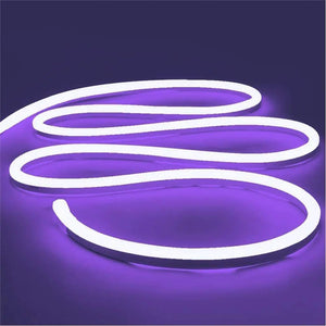 1M 2M 3M 5M 12V Flexible Sign Neon Lights Silicone Tube LED Strip Waterproof USA Rieworkes