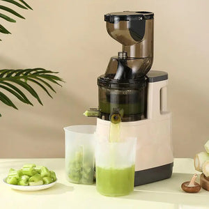 Automatic High Extraction Juice Machine for Home Use Rieworkes