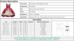 Elegant Dress For Girls Rieworkes