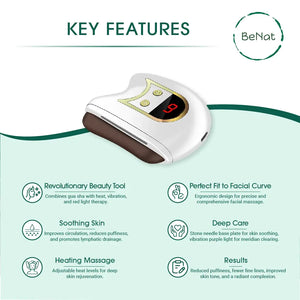 Electric Gua Sha Facial Sculpting Rieworkes