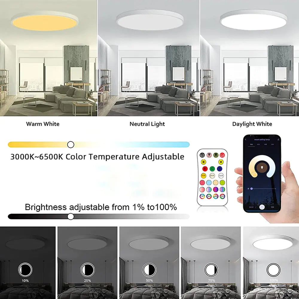 Living Room 24W Slim Ceiling Light Rieworkes