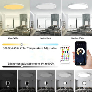 Living Room 24W Slim Ceiling Light Rieworkes