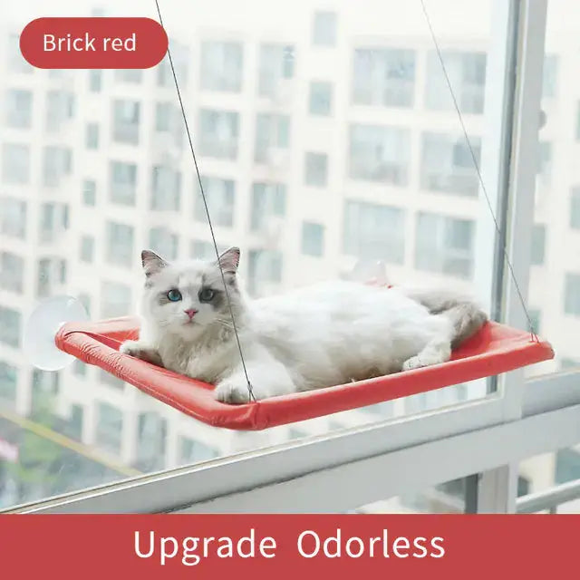 Suction Cup Hanging Cat Hammock Rieworkes