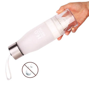 Travel Infuser Fruit Juice Bottle Rieworkes