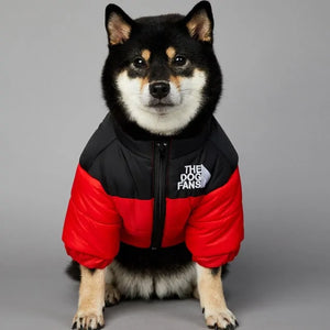 Luxury Winter Dog Jacket Rieworkes