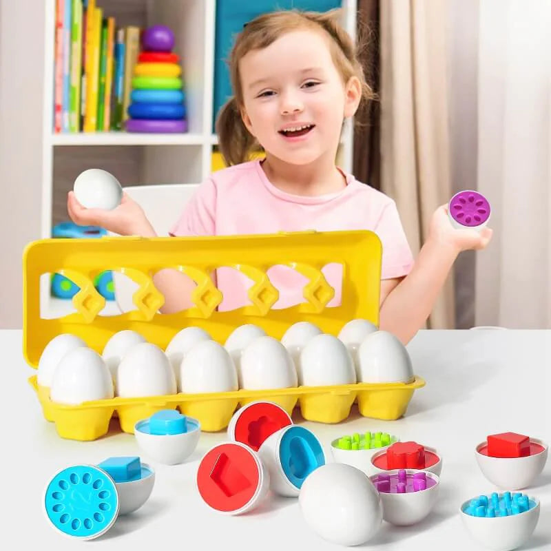 Sorting Puzzle for Kid Baby Toddler Rieworkes