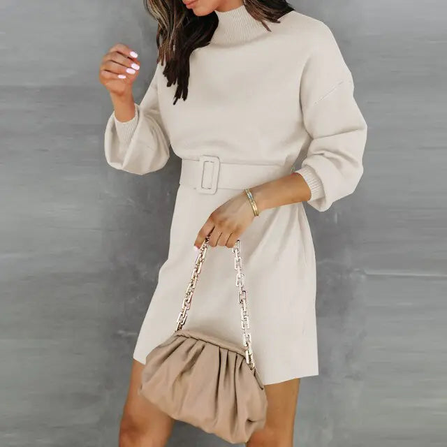 Elegant Turtleneck Sweater Dress with Belt Rieworkes