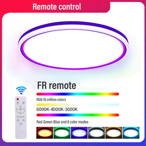 Living Room 24W Slim Ceiling Light Rieworkes