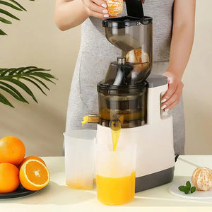Automatic High Extraction Juice Machine for Home Use Rieworkes