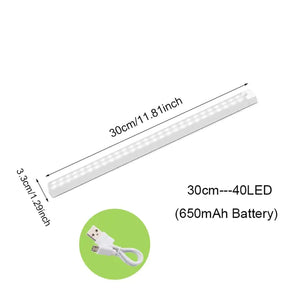 Motion Sensor Light Cabinet Lighting Kit Rieworkes