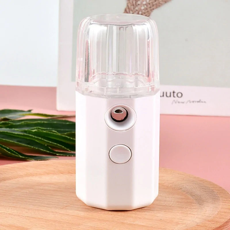 Mini Mist Sprayer Rieworkes