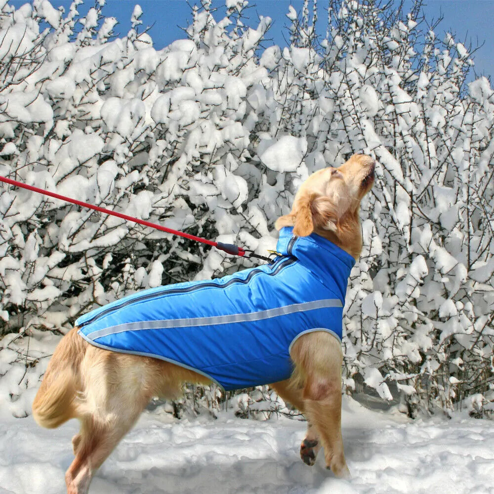 Waterproof Large Dog Clothes Rieworkes