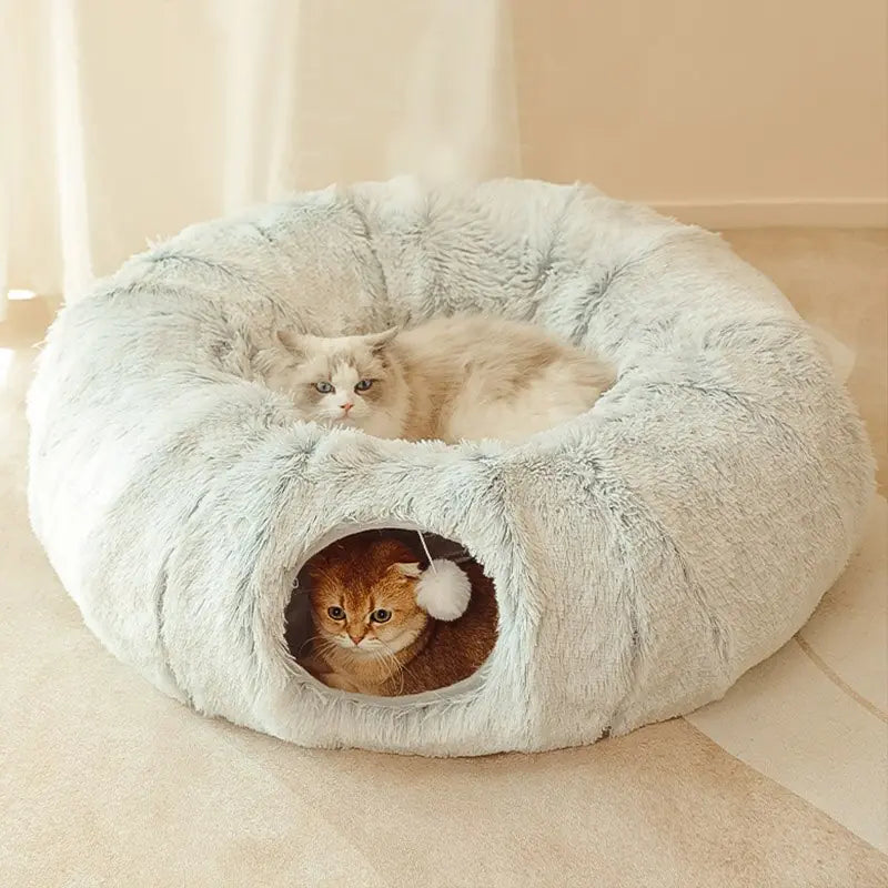 Cat Beds House Rieworkes