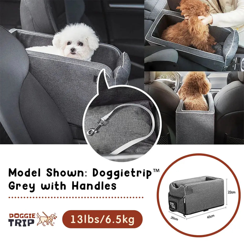 Safety Car Seat For Small Pets Rieworkes