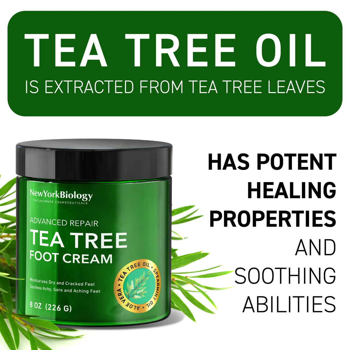 New York Biology Tea Tree Oil Foot Cream for Dry Cracked Feet, Athletes Foot, Nail Fungus, Jock Itch, Ringworm, Cracked Heels and Itchy Skin - Foot Cream - 8 oz Tea Tree - 8.00 Ounce (Pack of 1) 8.00 Ounce (Pack of 1) Rieworkes