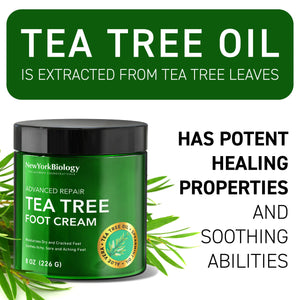 New York Biology Tea Tree Oil Foot Cream for Dry Cracked Feet, Athletes Foot, Nail Fungus, Jock Itch, Ringworm, Cracked Heels and Itchy Skin - Foot Cream - 8 oz Tea Tree - 8.00 Ounce (Pack of 1) 8.00 Ounce (Pack of 1) Rieworkes