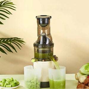 Automatic High Extraction Juice Machine for Home Use Rieworkes