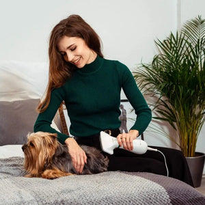Pet Hair Dryer Rieworkes