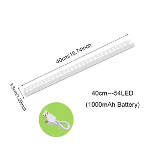 Motion Sensor Light Cabinet Lighting Kit Rieworkes