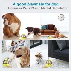 Interactive Cat Toy IQ Treat Ball Smarter Rieworkes