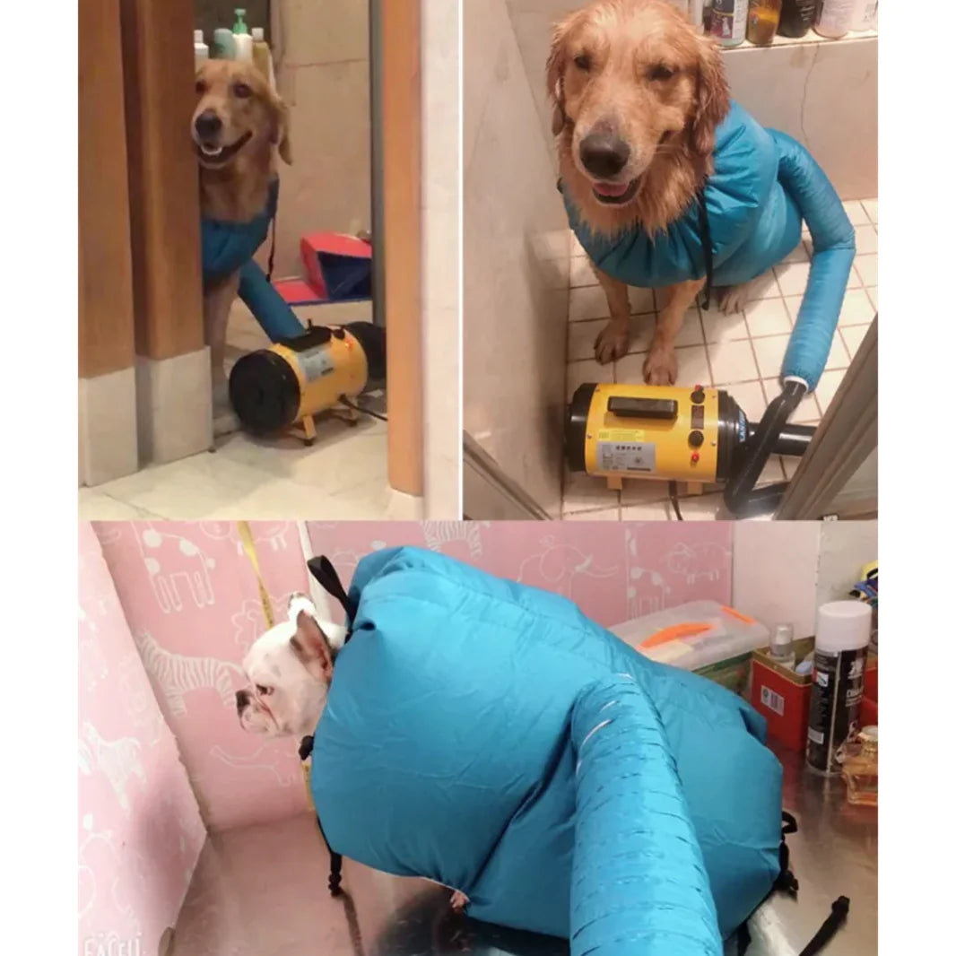 Dog Hair Dryer Kit Mimarta