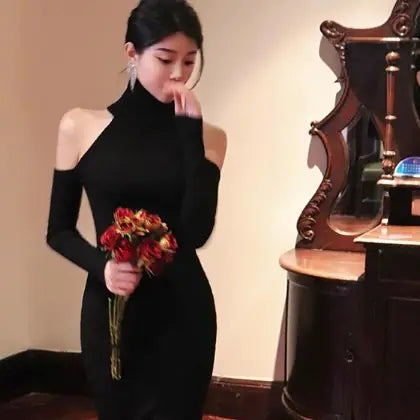Women's High Collar Long Sweater Dress Mimarta