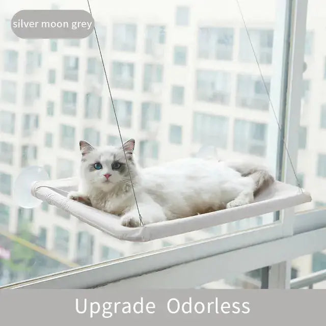Suction Cup Hanging Cat Hammock Rieworkes