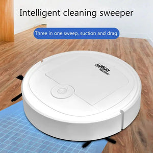 Robotic Vacuum Rieworkes
