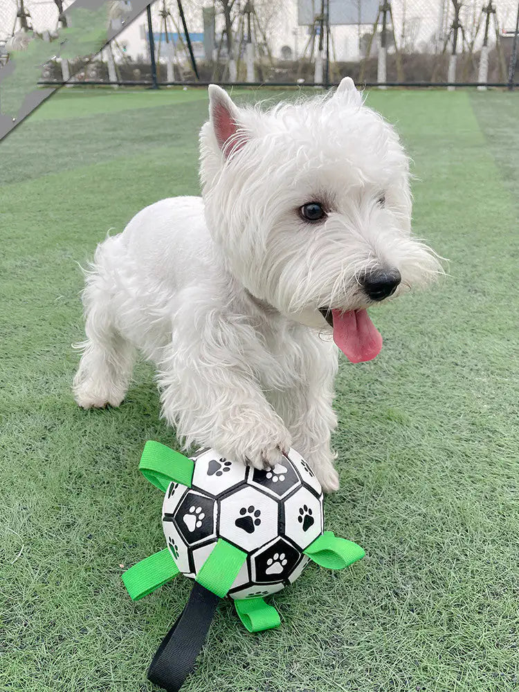 Dog Football Toys Rieworkes