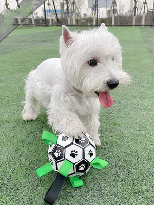 Dog Football Toys Rieworkes