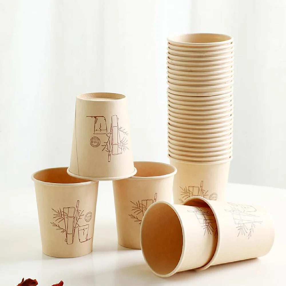 Bamboo Fiber Disposable Cups Rieworkes