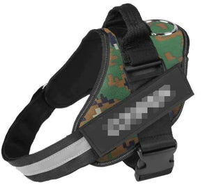 Safety Dog Harness Rieworkes